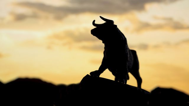 Bullish market