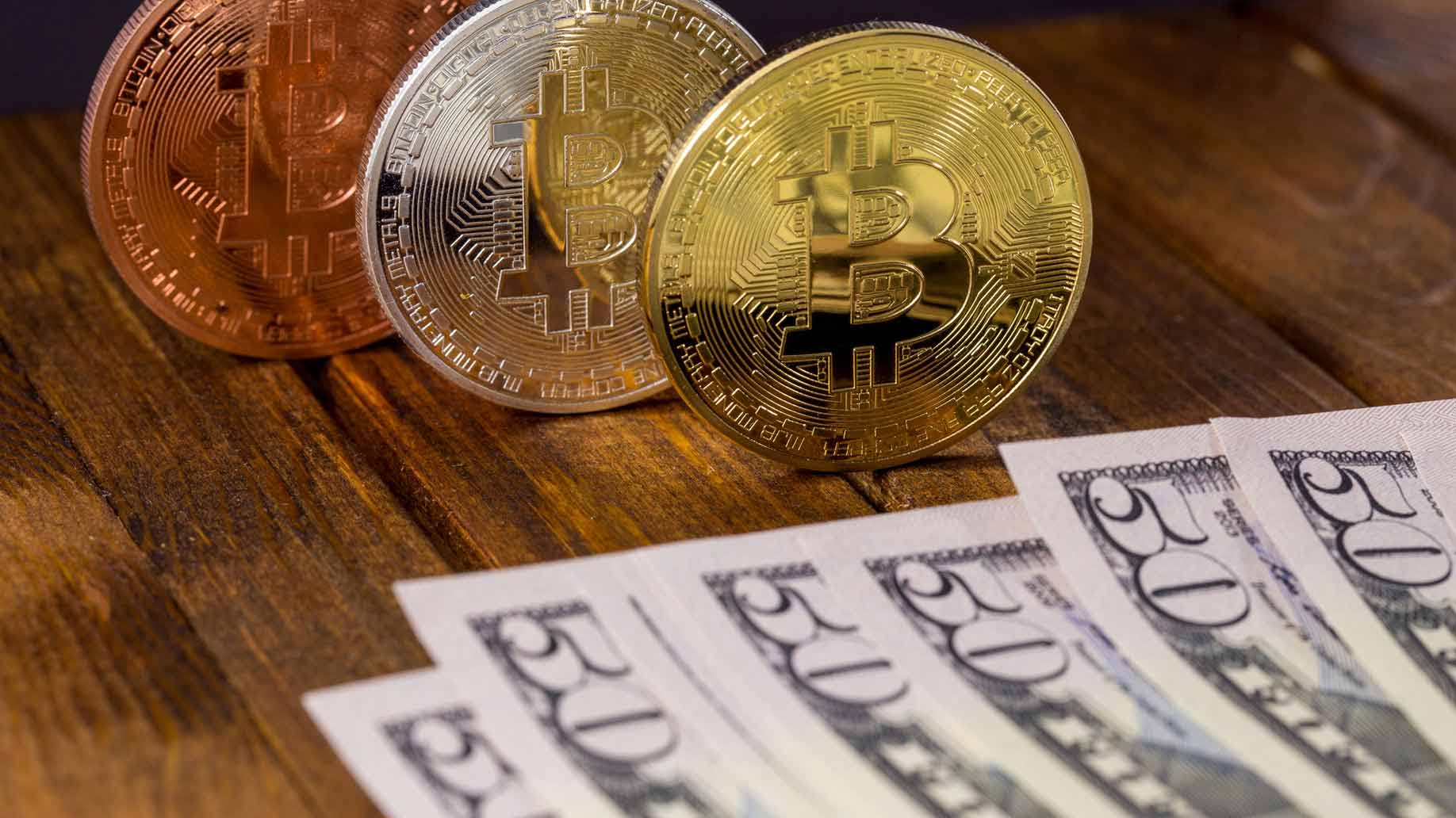 bitcoins dollars