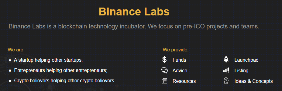 Screenshot from labs.binance.com