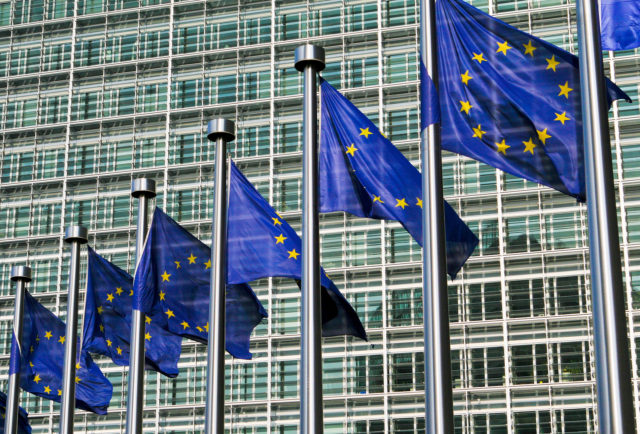European Flags In Brussels