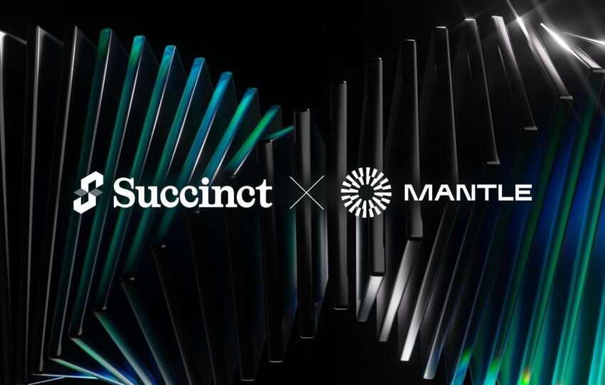 Succinct x Mantle 1734584487p3DrVJERiN