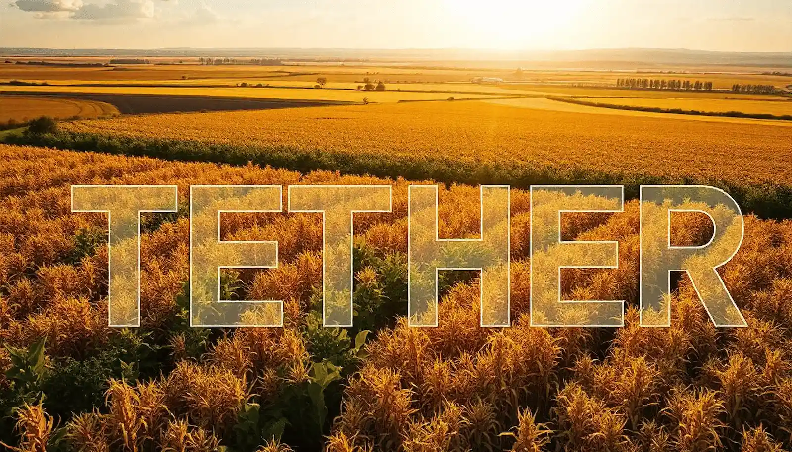 Golden agricultural field at sunset with "TETHER" text overlay, representing Tether's investment in agriculture or commodities.