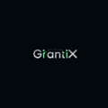 GrantiX: Exploring the Emerging Intersection of Blockchain and Social Entrepreneurship