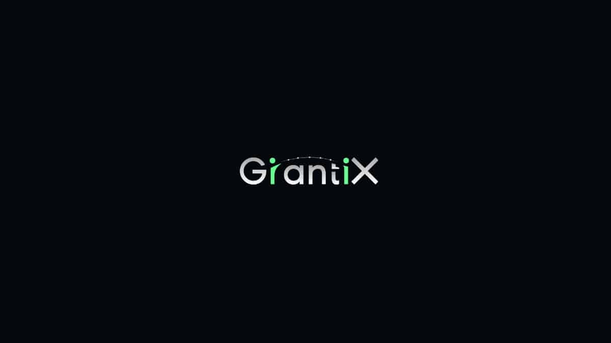 GrantiX: Exploring the Emerging Intersection of Blockchain and Social Entrepreneurship