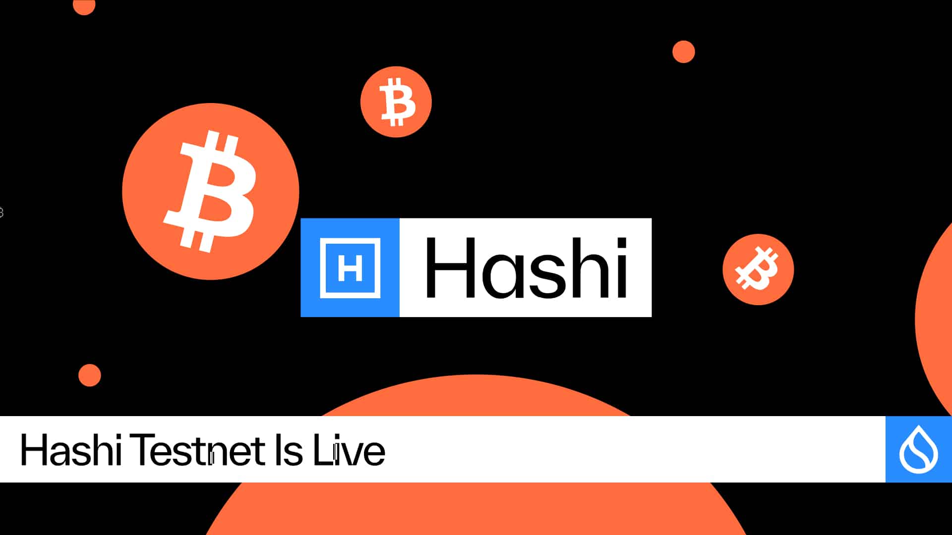 Hashi Testnet Is Stay, Bringing Native Bitcoin Finance One Step Nearer to International Adoption